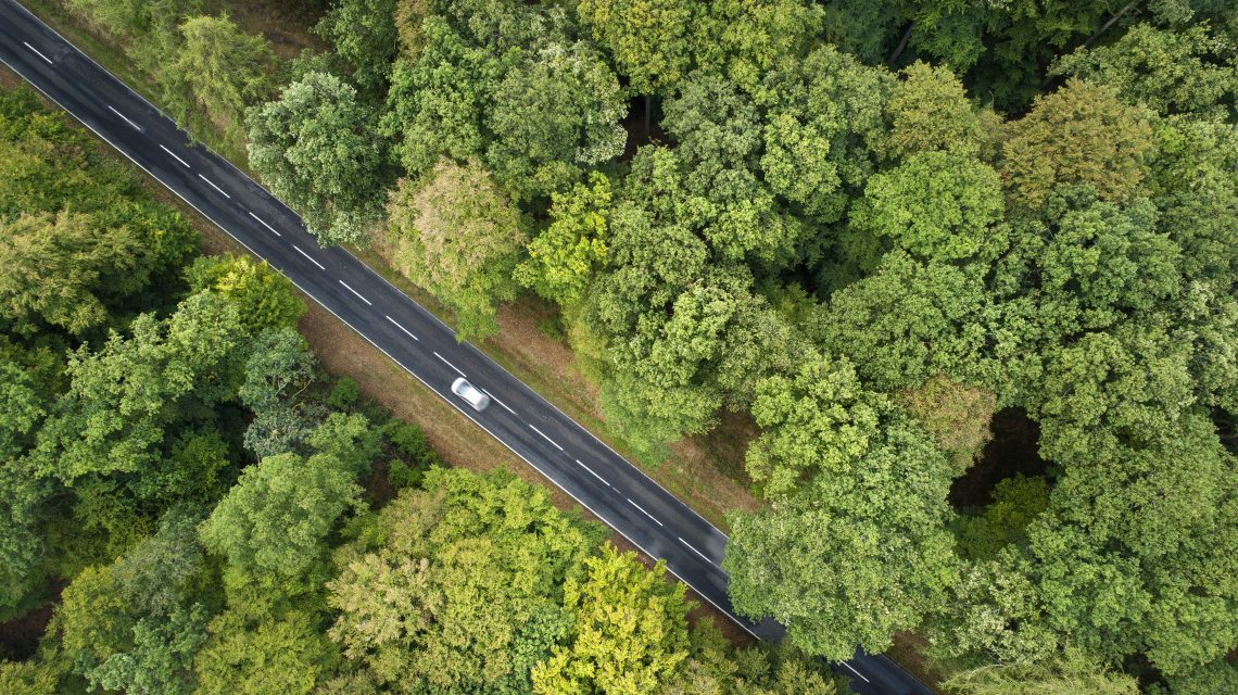 Luftaufnahme eines Waldstücks mit Straße