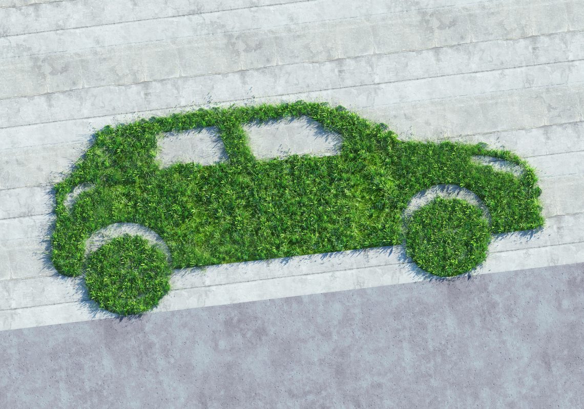 Ein Auto aus Gras