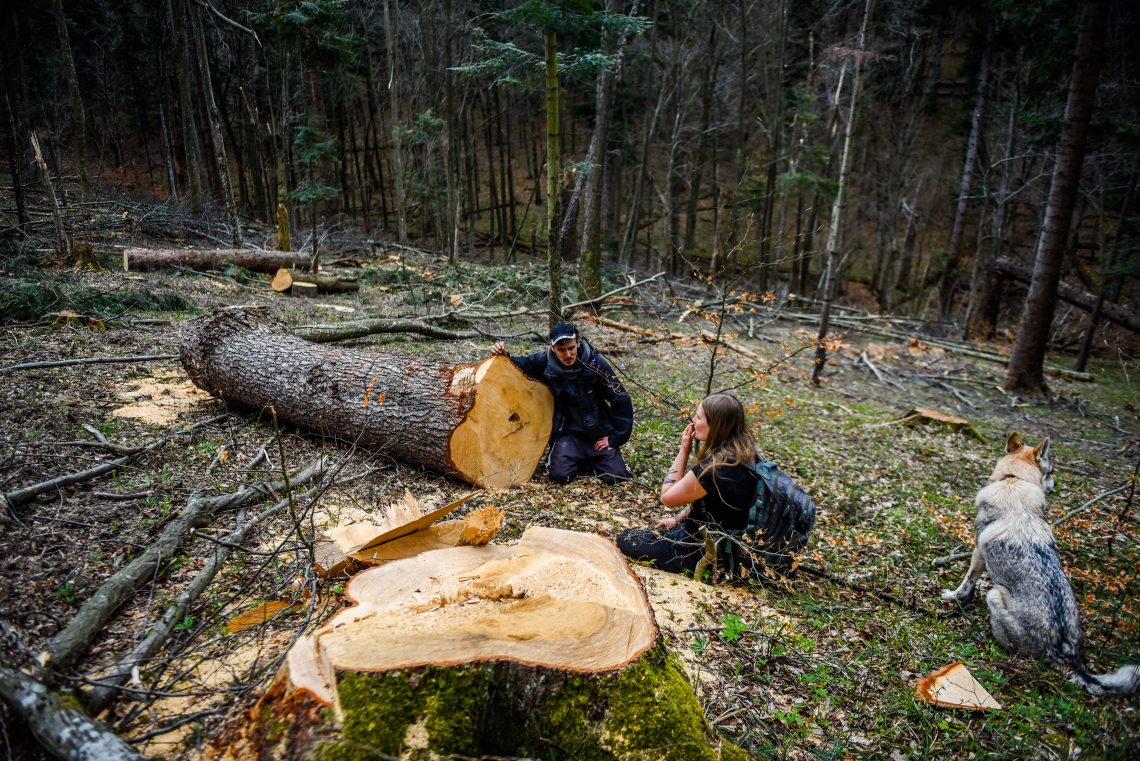 Foto von Umweltschützern bei einem gefällten Baum