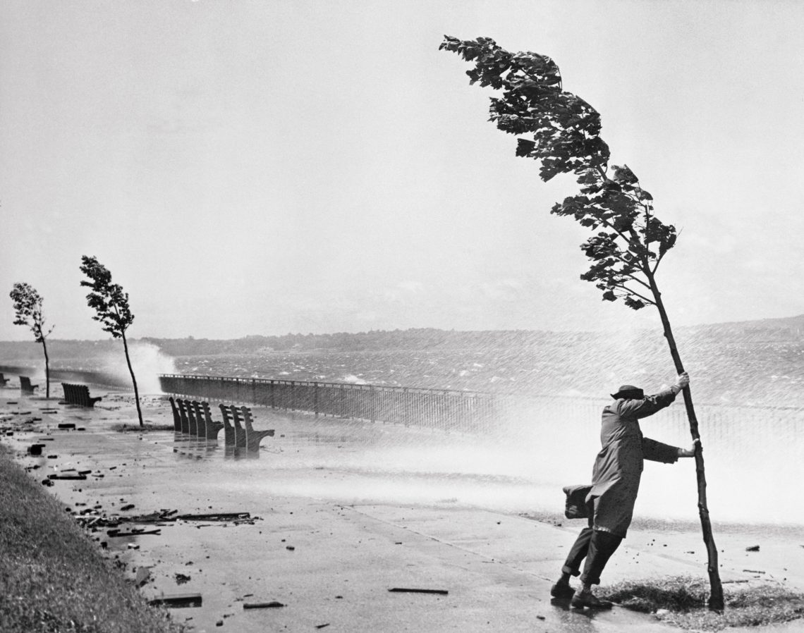 Schwarzweißaufnahme eines Mannes, der sich während Hurrikan Carol an einem Baum festhält