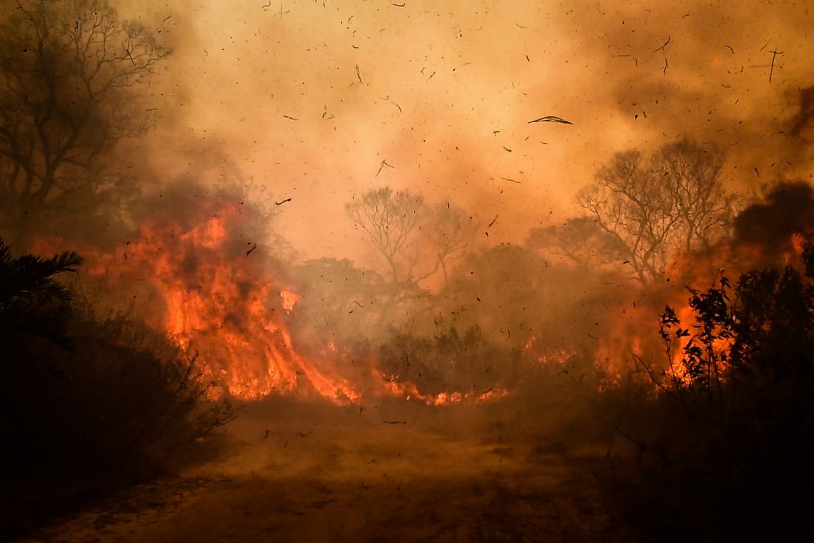 Fotos eines Waldbrandes in Brasilien