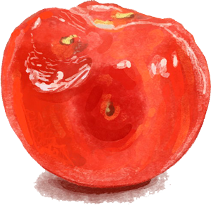 Illustration einer Tomate mit Matschstelle