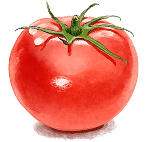 Illustration einer Tomate