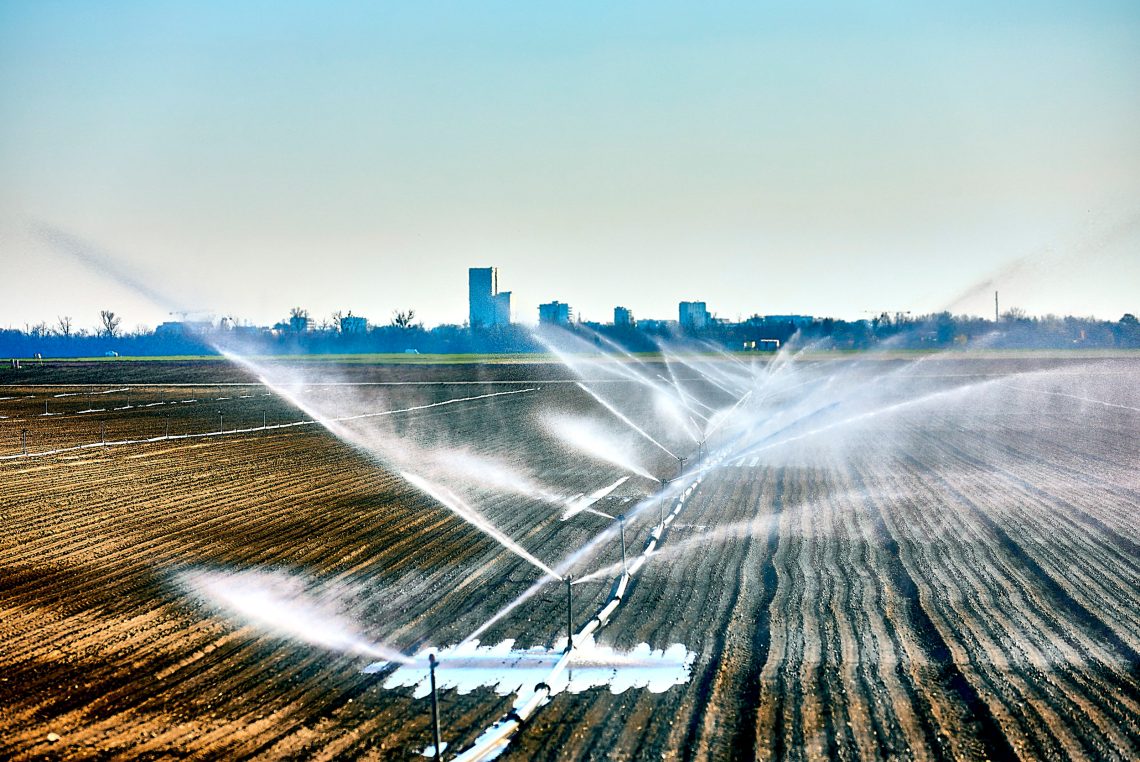 Wasser wird auf Feldern zur Bewässerung verteilt