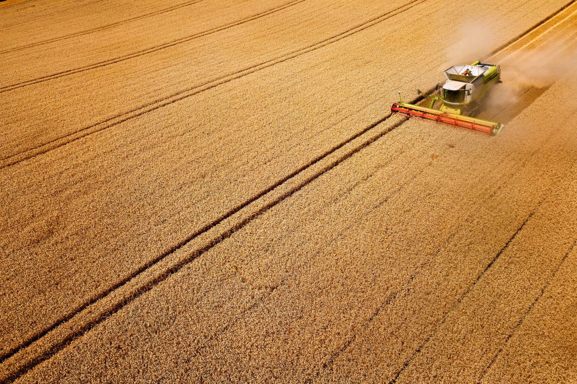 Weizenernte in Thüringen, Deutschland