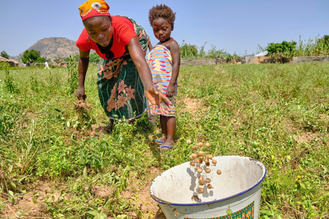 Bäuerin bei der Ernte in Nigeria, 2019