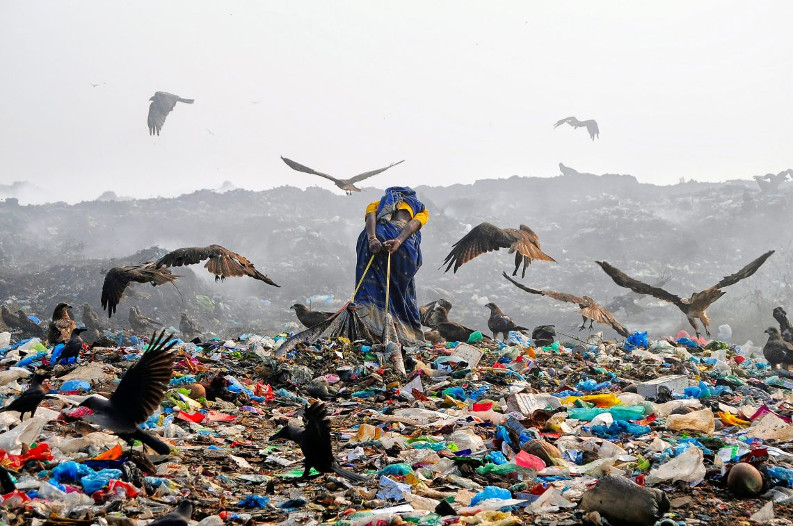 Frau zieht gesammelten Müll auf einer Müllhalde, umgeben von Aasgeiern