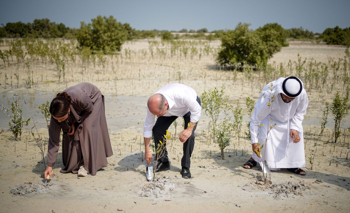 Foto von drei Menschen die Bäume in hellem Sand pflanzen. Das Bild zeigt einen möglichen Konflikt zwischen dem Bedürfnis nach Energie und Moral.