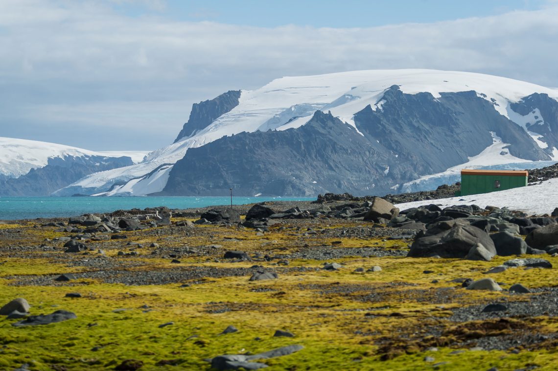 Foto einer Moos- und Graslandschaft vor einem Berg mit einem Gletscher und Eis und Schnee, dazwischen das Meer.