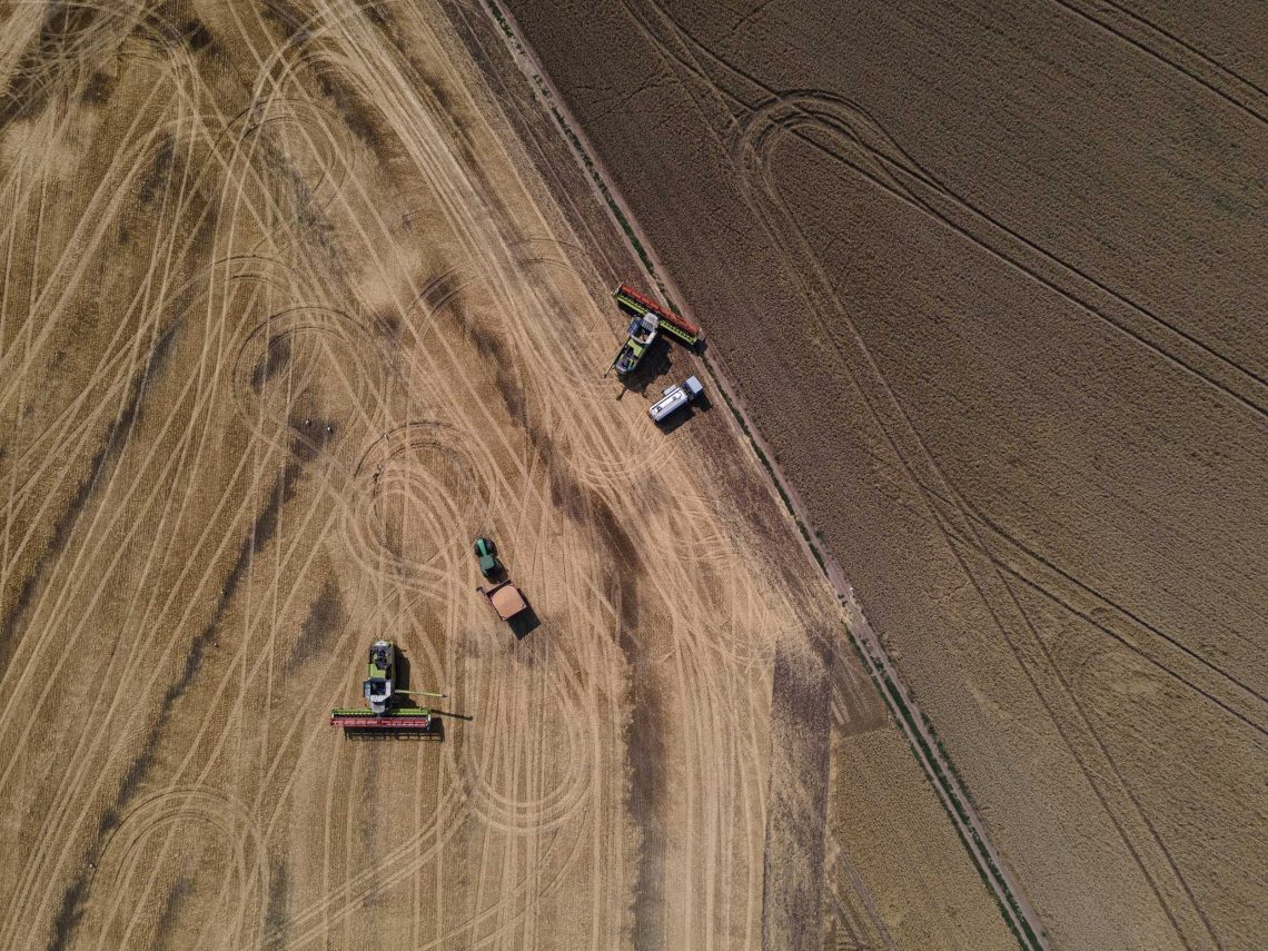 Luftaufnahme Ukrainischer Erntemaschinen auf eine Getreidefeld, die trotz des Krieges Weizen einholen.