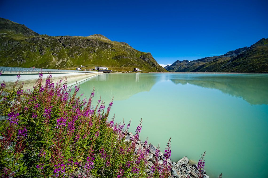 Idyllische Aufnahme des Silvretta Stausees in Vorarlberg umgeben von schönen Bergwelten und blühenden Blumen