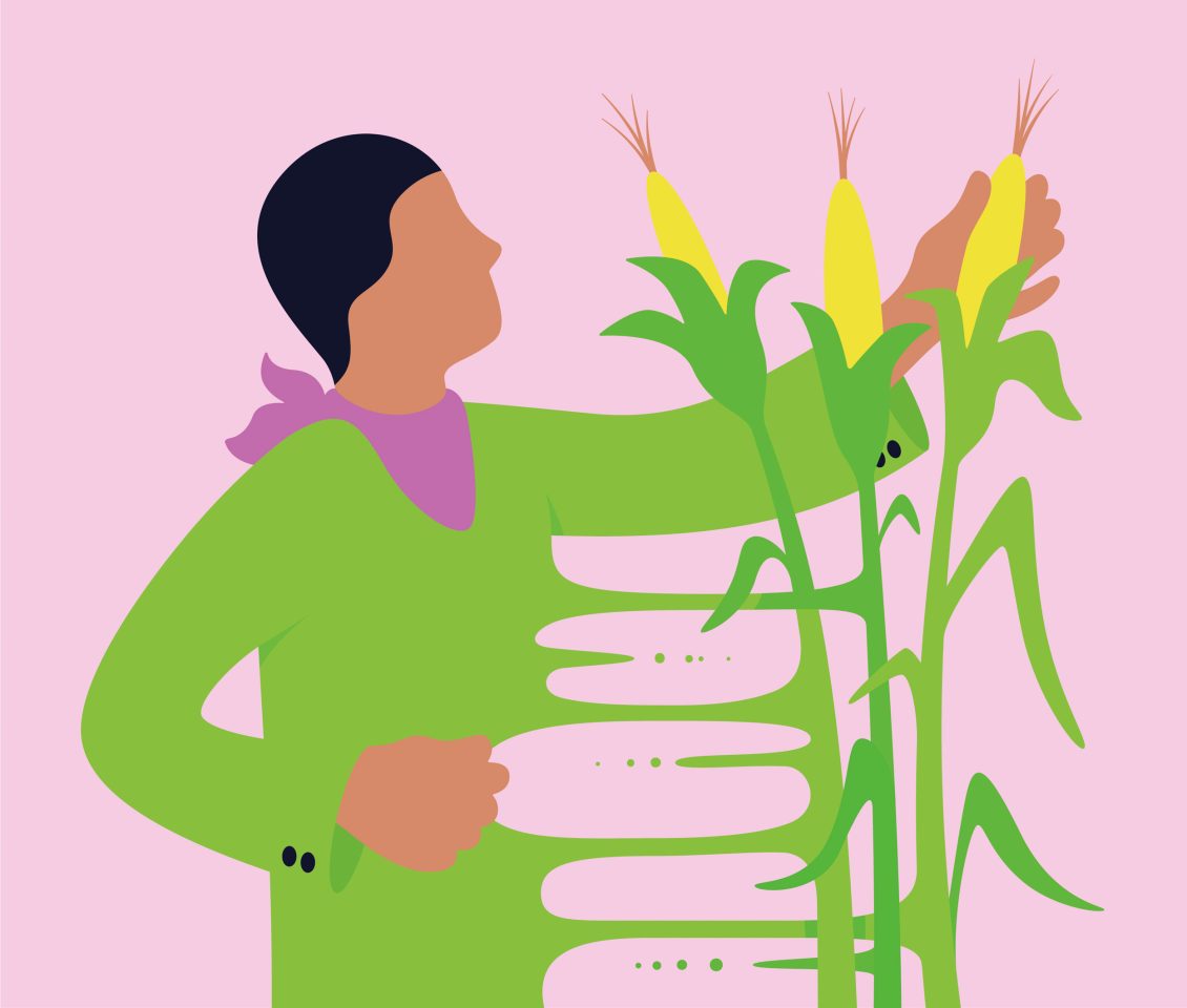 Illustration eines Menschen, der mit Maispflanzen verbunden ist. Es geht um die Darstellung der Bedeutung der Ernährung für die Entstehung von Antibiotika-Resistenz, also um die Auswirkungen auf das Mikrobiom.