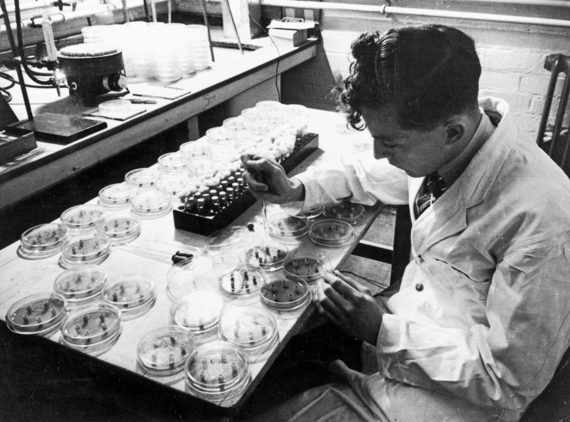 Herstellung vom Antibiotikum Streptomycin in Nottingham, 1946