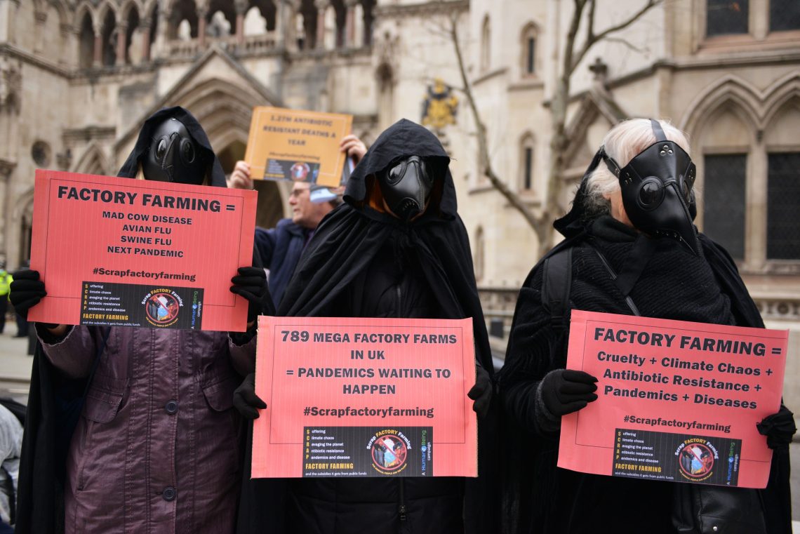 Protest gegen Massentierhaltung, London 2022