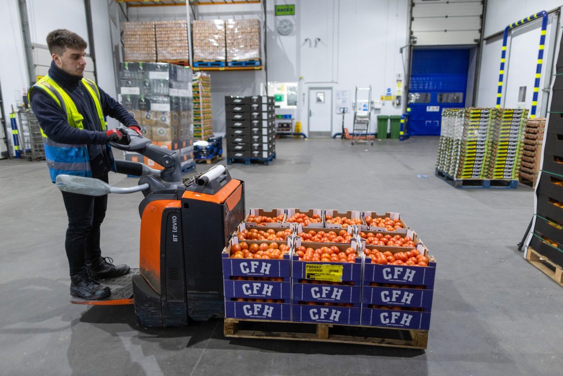 Ein Arbeiter in England steht auf einem kleinen Gabelstapler und versetzt eine Europalette beladen mit Kisten voller Tomaten aus Spanien.