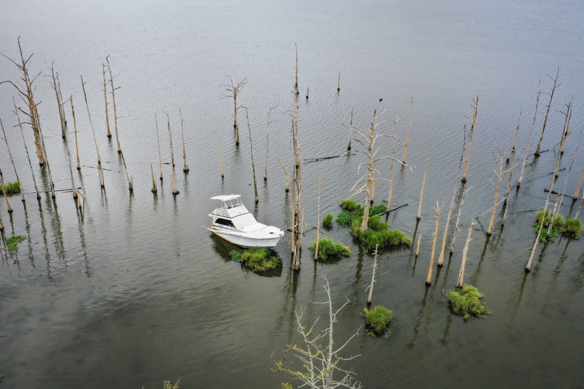 Ein verlassenes Boot liegt im Wasser inmitten abgestorbener Zypressen im Sumpfgebiet von Venice, Louisiana