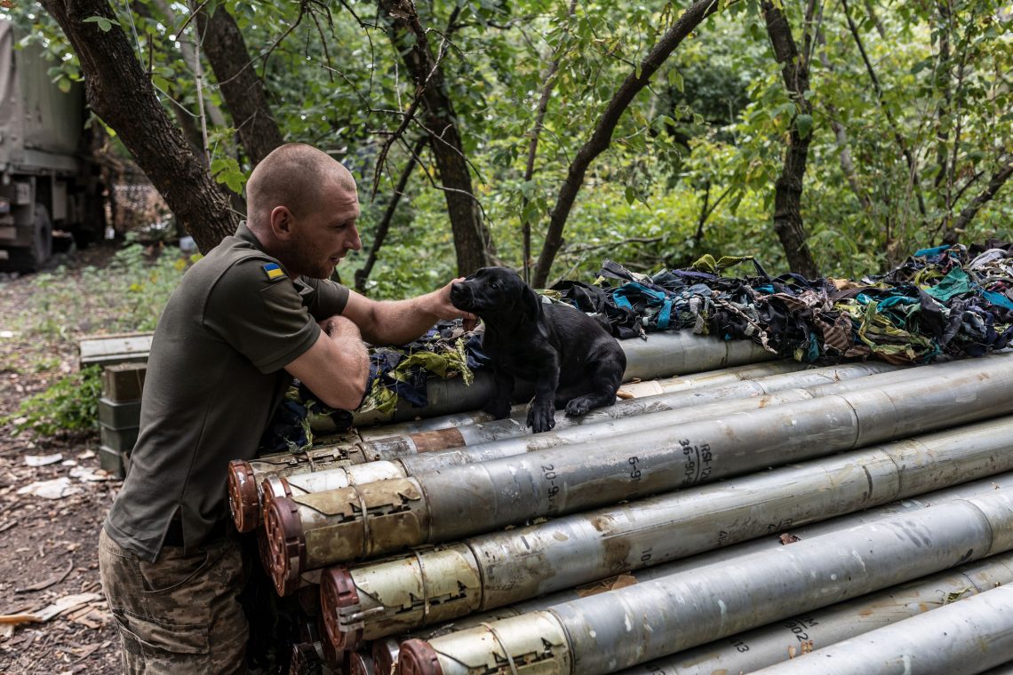 Ein Hundewelpe sitzt auf Raketengeschossen, die in einem Wald gelagert sind. Ein Soldat steht bei ihm und krault ihn hinterm Ohr.
