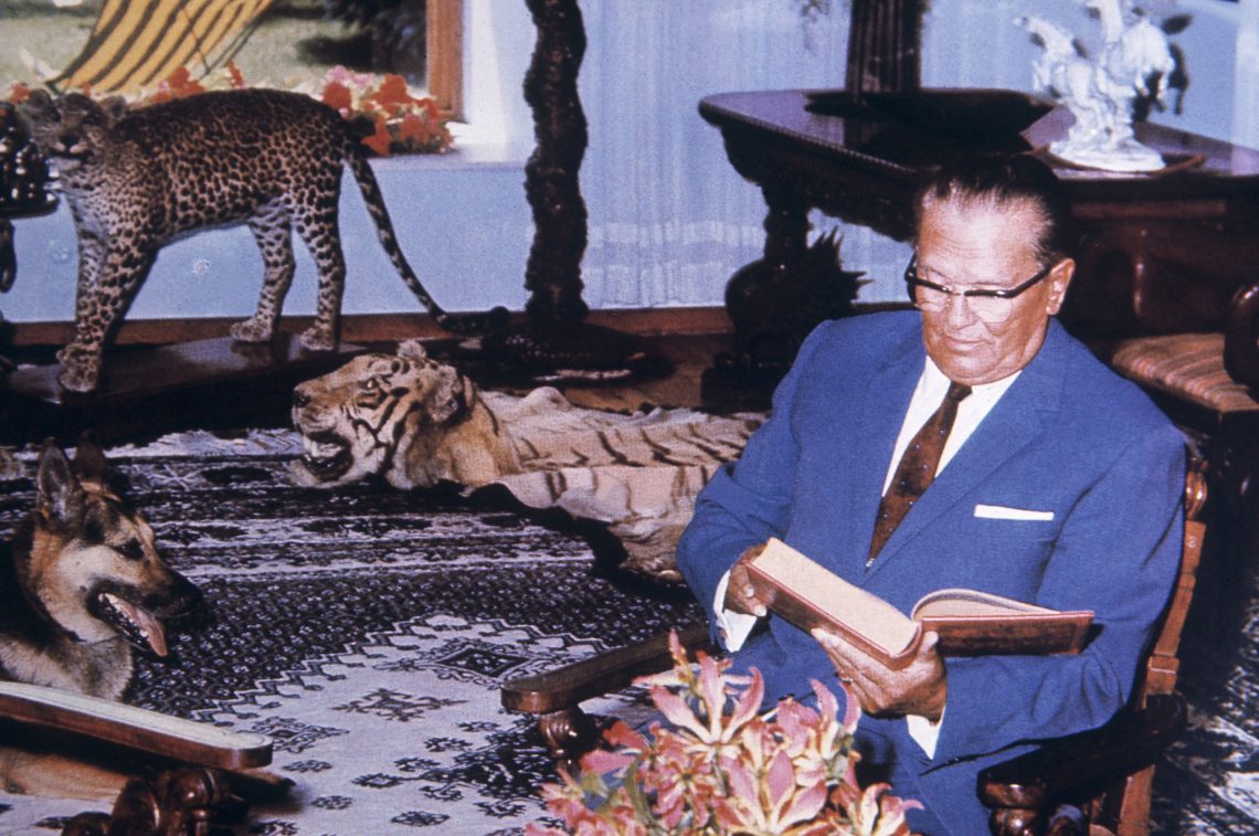 Josip Broz Tito in einem blauen Anzug sitzt ein Buch lesend in einem Raum mit alten Möbeln, Porzellanfiguren und einem ausgestopften Jaguar. Auf dem Boden liegt ein Tigerfell mit Kopf auf einem Perserteppich. Ein Schäferhund blickt Tito an und hechelt. Das Bild wurde 1961 in Belgrad aufgenommen.