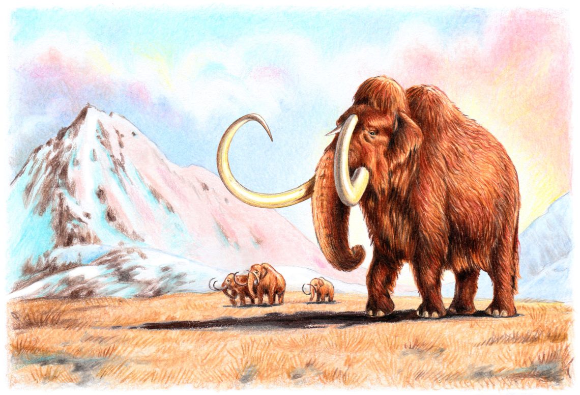 Eine Illustration, die ein großes Mammut zeigt, im Hintergrund sind drei weitere Mammuts vor einem Berg zu sehen.