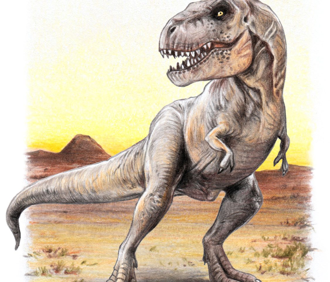 EIne Illusration, die einen Tyrannosaurus rex zeigt