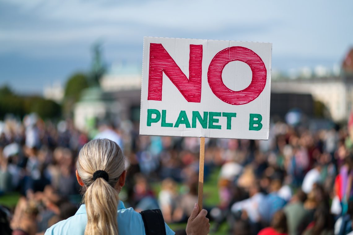Rückansicht Frau bei Klimawandel-Protest Fridays for Future Halten Sie kein Planet B-Schild vor großer Menschenmenge bei der Demonstration.