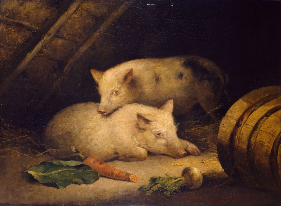 Malerei von zwei Schweinen die in einem Stall liegen bzw. stehen und den Betrachter anblicken. Vor ihnen liegt eine Karotte und zwei Rüben sowie ein Kohlblatt. Neben ihnen steht ein Fass. Das Bild stammt von George Morland. Es wurde Ende des 18. Jahrhunderts gemalt.