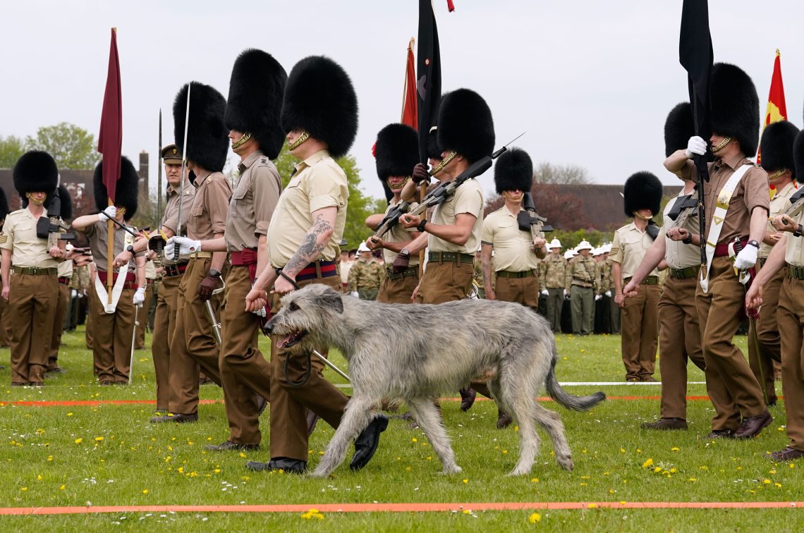 Ein Irish Wolfhound geht neben Irish Guards mit Bärenfellmützen bei einer Parade. Das Bild ist Teil eines Jahresrückblicks.