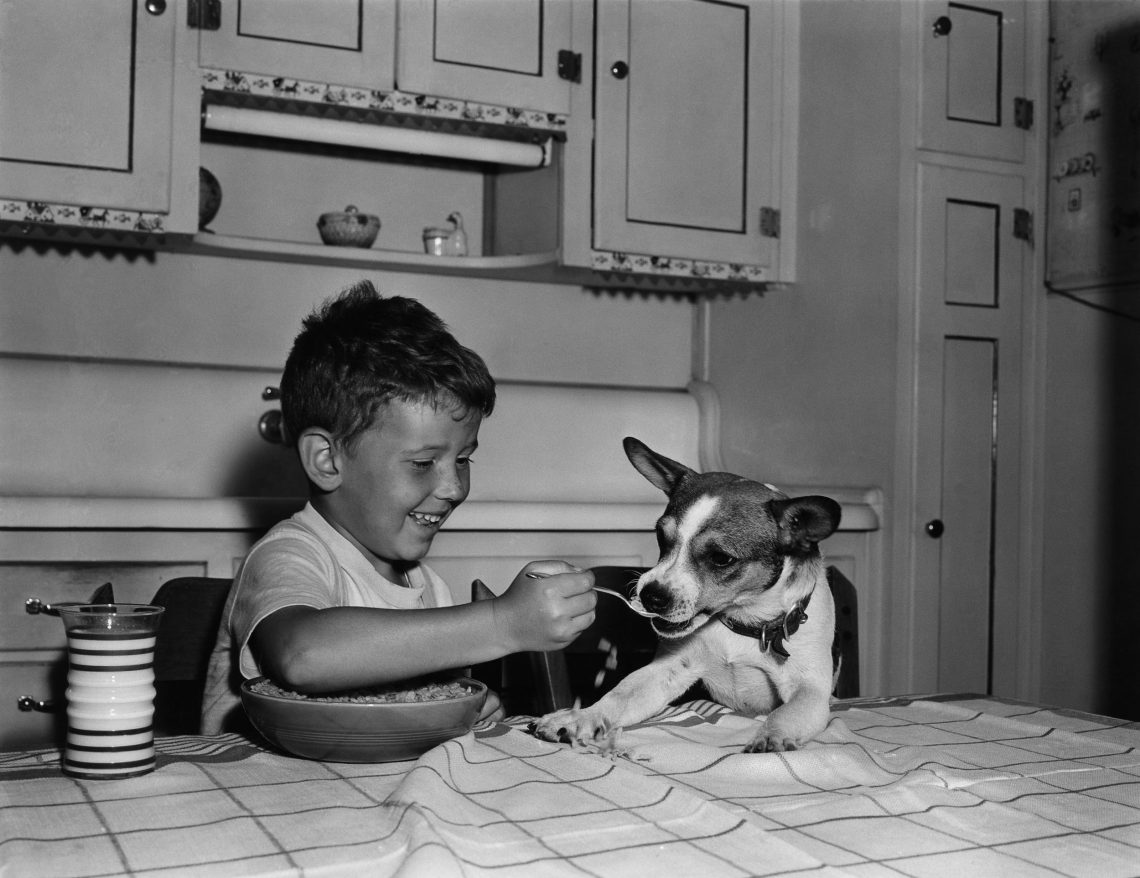 Schwarzweiß-Foto eines Jungen mit einem Hund an einem Küchentisch. Der Junge füttert den Hund mit einem Löffel. Das Bild illustrirt einen Beitrag über Abnehmen und den Sinn und Unsinn von Kalorien zählen.
