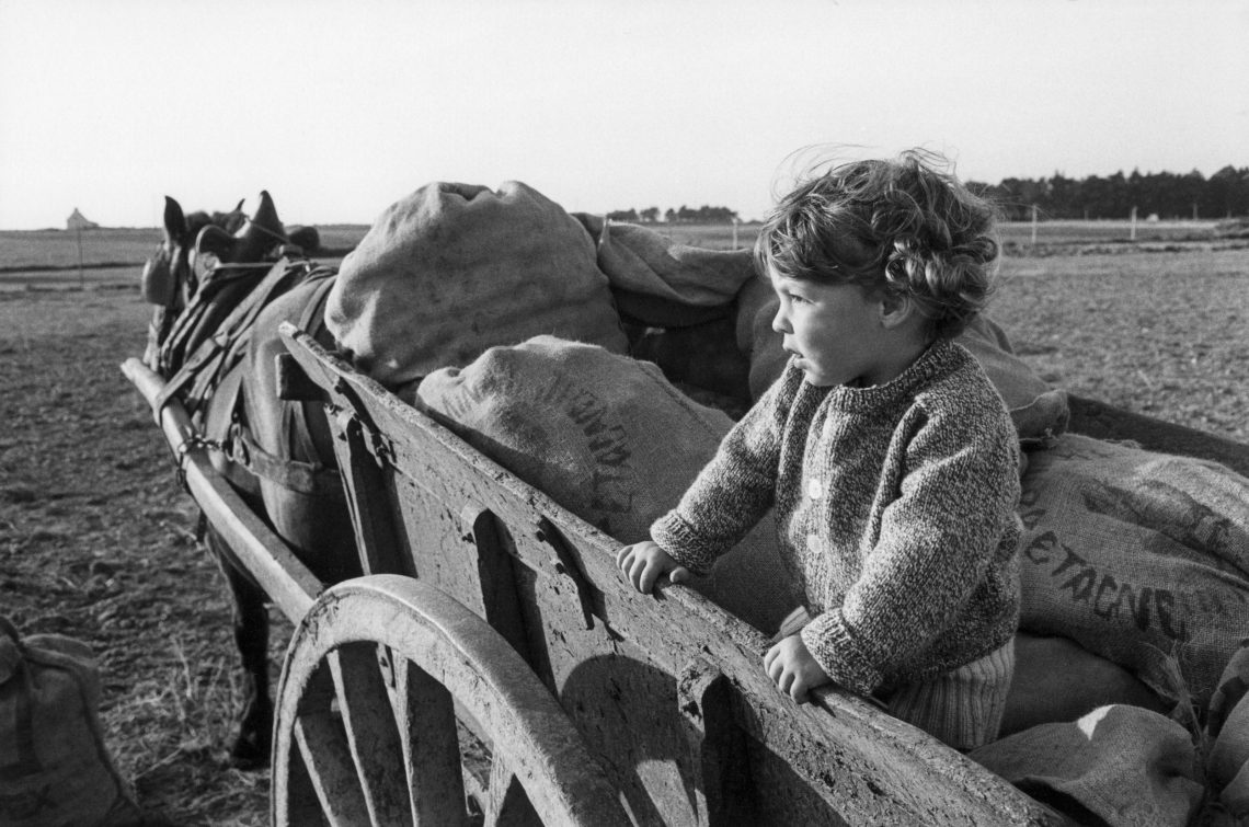 Ein Mädchen steht auf der hölzernen Ladfläche eines Fuhrwerks mit einem Pferd und blickt in die Ferne. Neben ihr stehen und leigen große Säcke mit Kartoffeln.