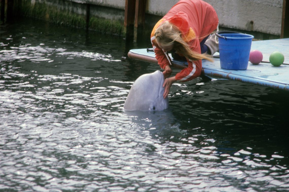 Ein Frau in einer roten Windjacke beugt sich zu einem Delphin im Wasser hinunter und spricht mit ihm. Neben ihr steht ein blauer Eimer, daneben liegen ein pinkfarbener und ein grüner Ball. Das Bild wurde 1992 auf der Krym aufgenommen.