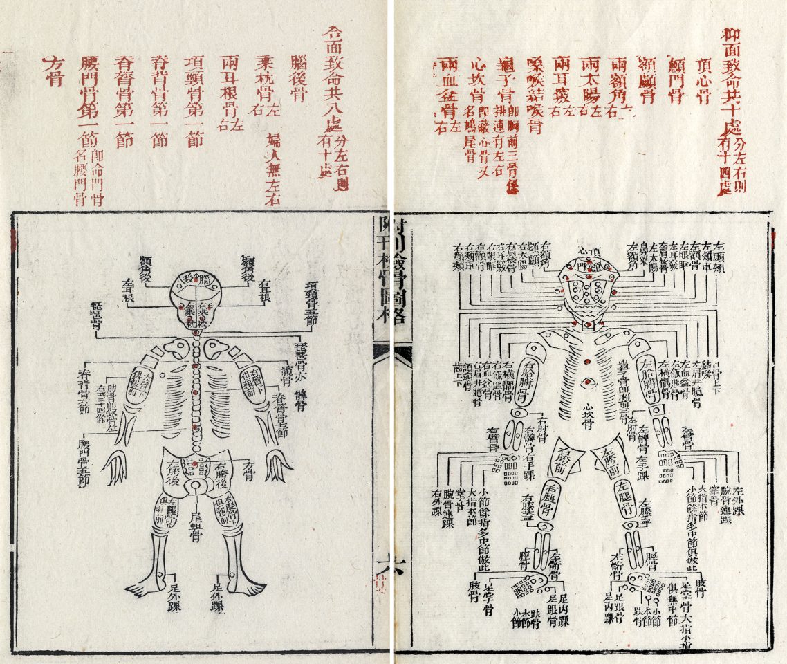 Eine Zeichnung der Knochen eines Menschen mit chinesischen Schriftzeichen.