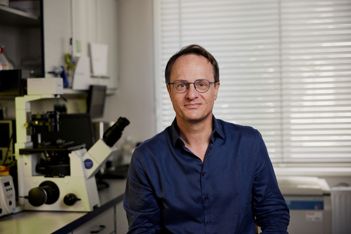 Der Genetiker Markus Hengstschläger. Er forscht derzeit an Embryoiden.