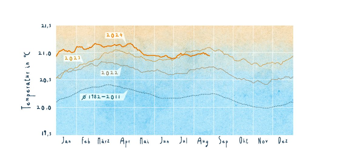 Die Entwicklung der globalen Durchschnittstemperaturen auf der Oberfläche der Meere. 2023 war besonders heiß, wird aber von 2024 noch übertroffen. Von der Temperatur der Oberflächenschicht hängt es ab, wieviel CO2 aufgenommen wird. Je wärmer, desto weniger. Und desto schlechter funktionieren die Meeresströmungen, die Kipppunkte haben.