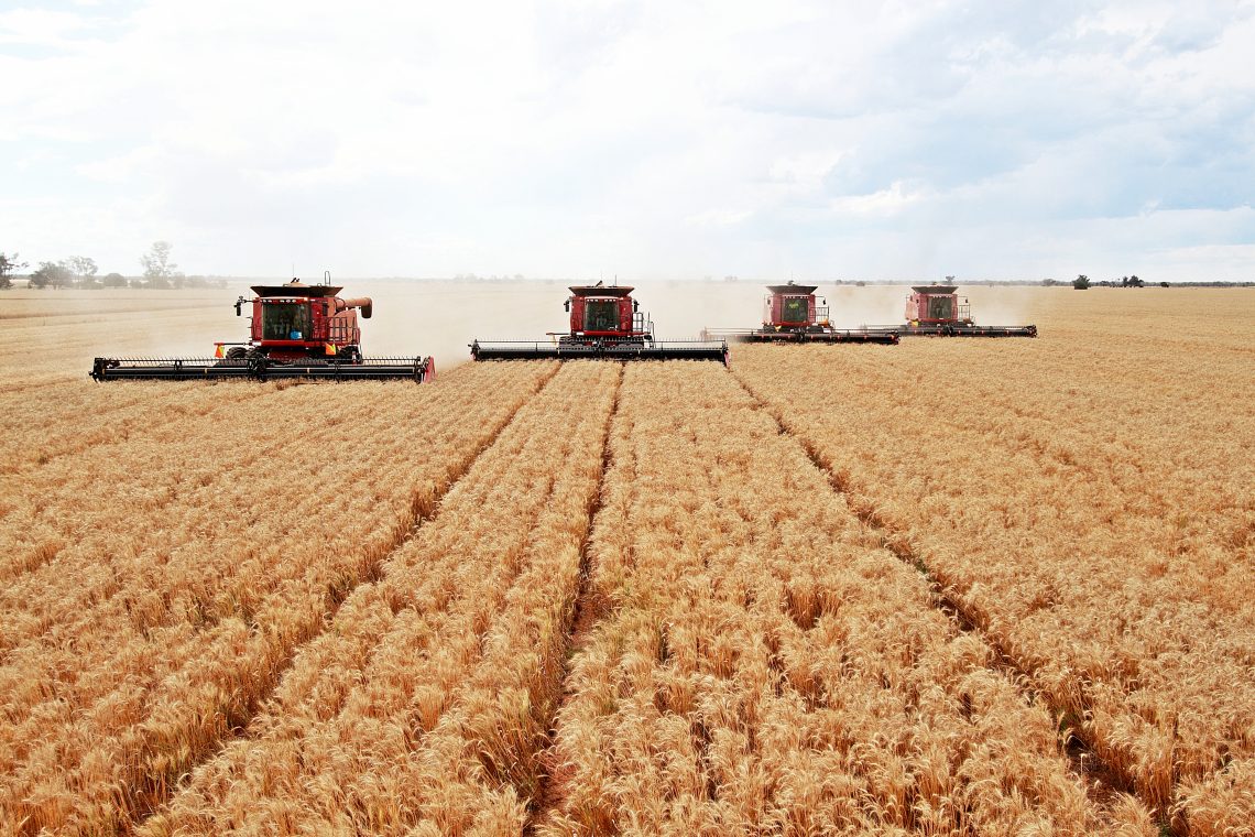 Thema Bauernsterben: 4 große Mähdrescher fahren gestaffelt über ein Weizenfeld in Australien.